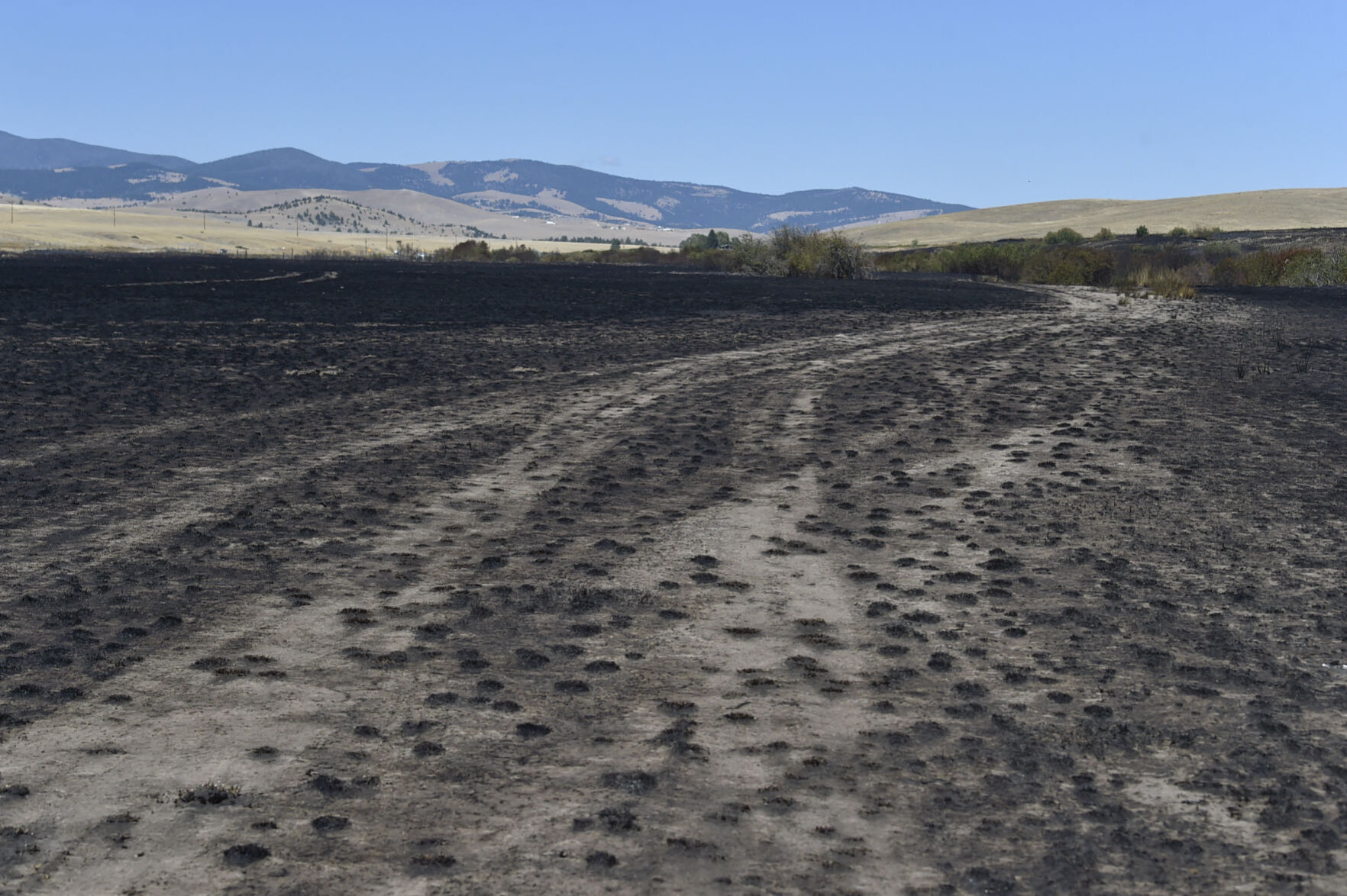 The Prickly Pear Land Trust's Seven Mile Creek site